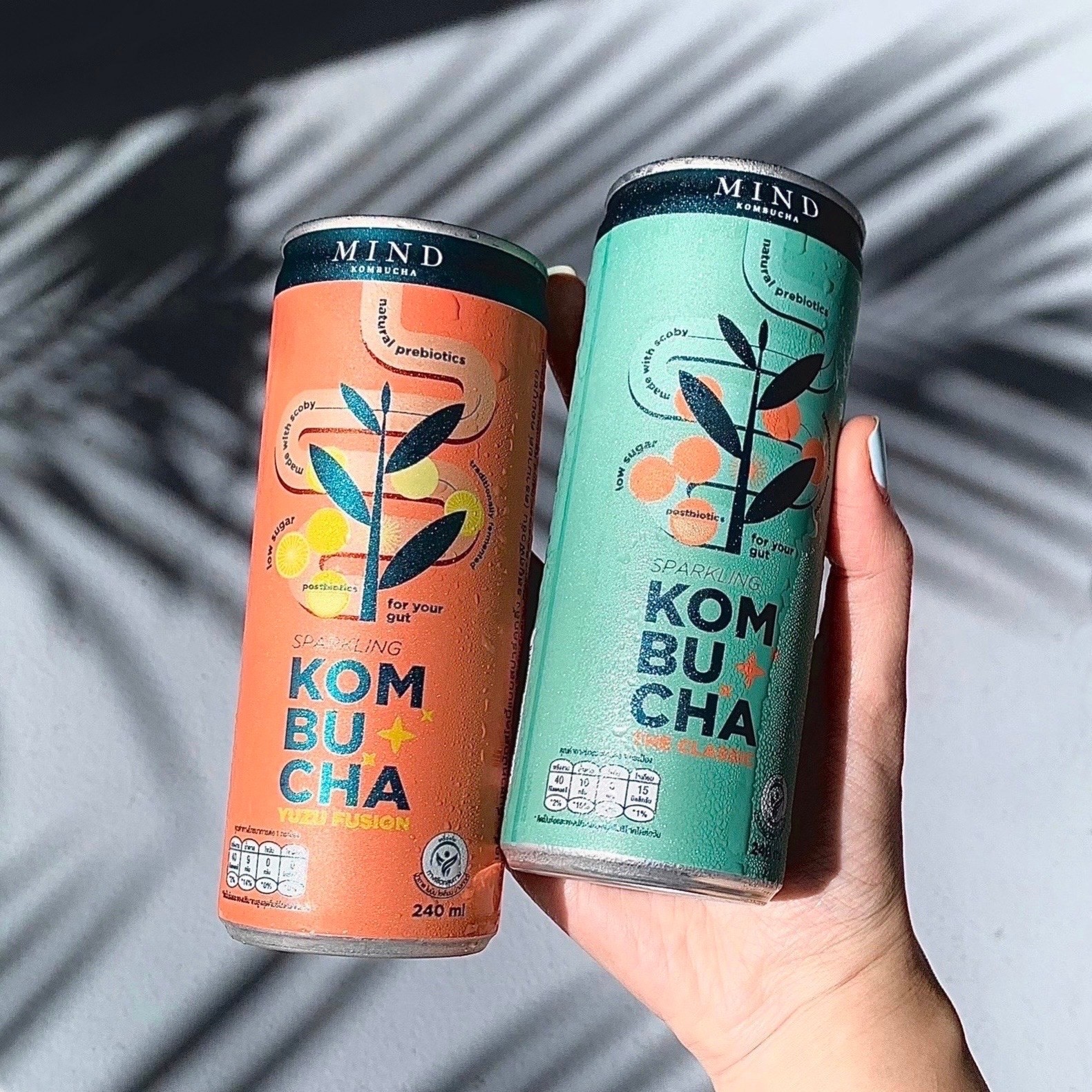 MindKombucha DEmark3